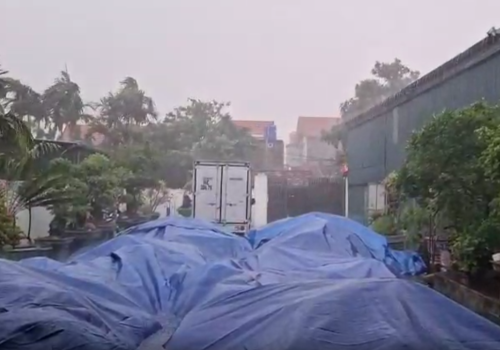 Cảm ơn quý khách ủng hộ, hàng đang trên đường đến nhé